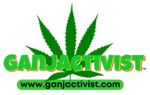 Cannabis Consumers, STOP Lying on Your Insurance Applications.