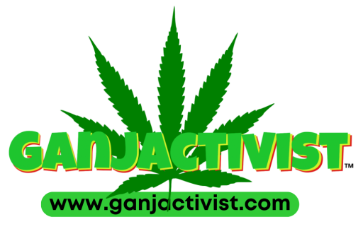 Cannabis Consumers, STOP Lying on Your Insurance Applications.