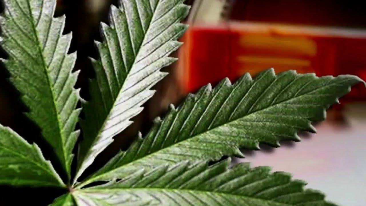 Ask Trooper Steve: DUI for using marijuana?