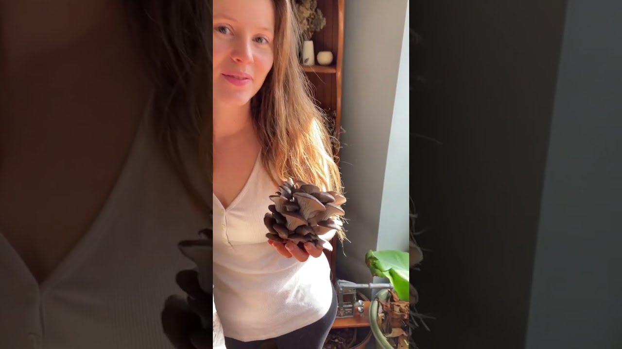 How we grow oyster mushrooms in Winter! #growyourownfood #urbanhomesteading #offgridliving