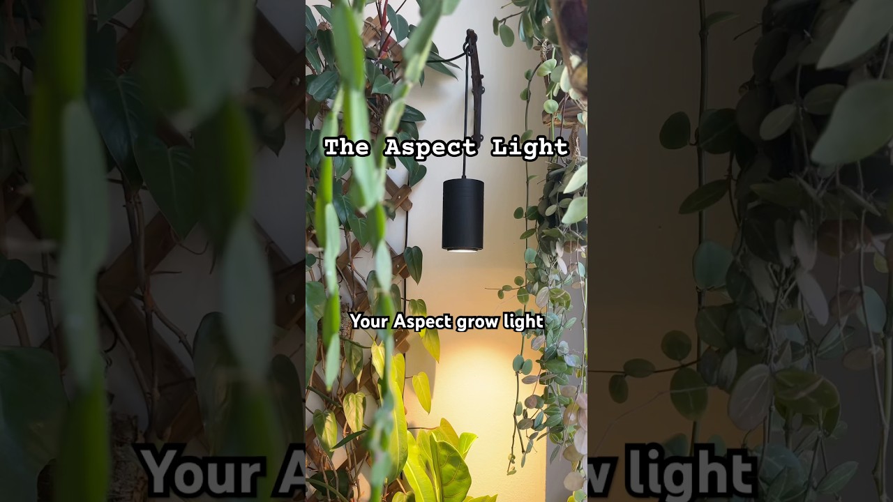 Your Aspect grow light might be too close—or too far—from your plants. Let’s fix that! 🪴✨ #plants
