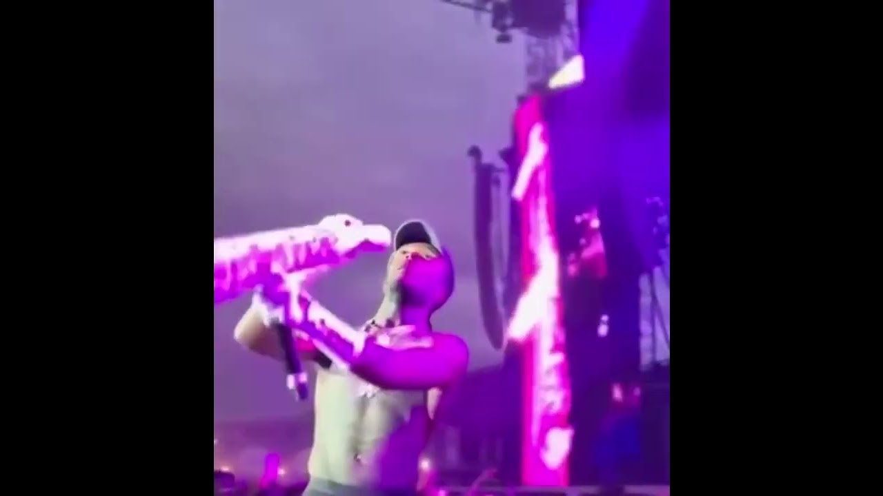 Lil Uzi Vert smoking a huge joint🔥 #liluzivert
