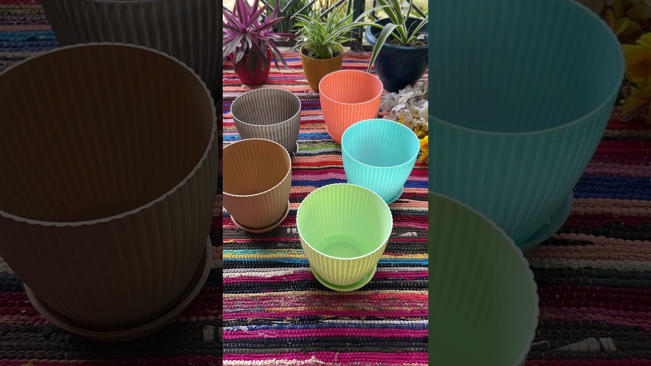 Mwesho Home Finds | Flower Pot | Combo | Pack of 6 | Garden Finds #shorts #yt #homedecor