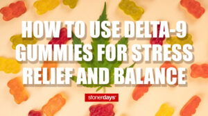 How to Use Delta-9 Gummies for Stress Relief and Balance