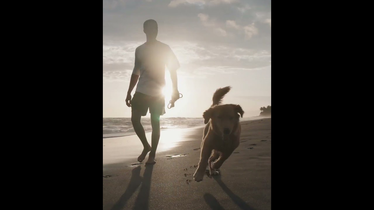 Natural Alternatives for Both People & Pets!  #hempproducts #petproducts  #cbdwellness