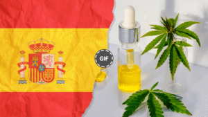 Legal Medical Cannabis in Spain Takes Its First Steps: Why Some Experts Call the New Rule ‘Restrictive’