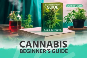 Beginners guide to buy weed online