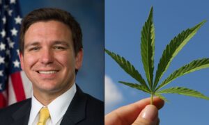 DeSantis Admits Marijuana Legalization Is Popular With Florida Voters Even Though He Opposes It