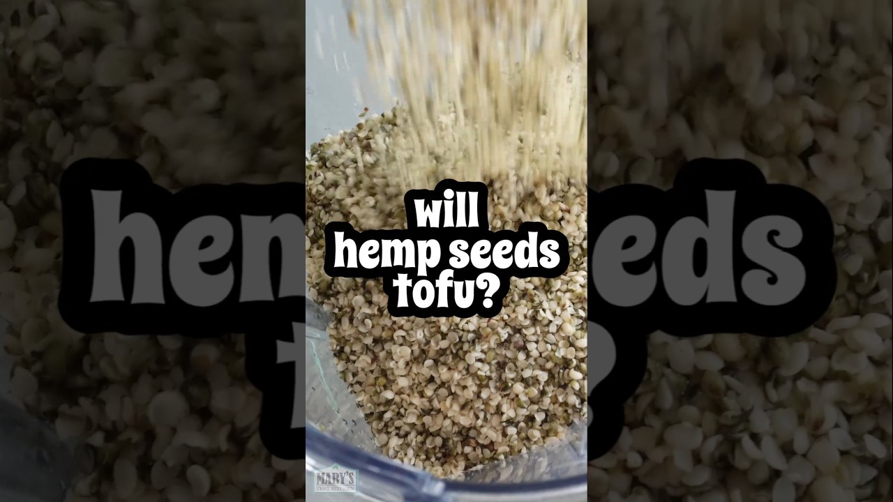 Protein, omega-3's, and a touch of rebellion. Can hemp seeds make tofu?