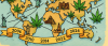 The Global Cannabis Renaissance: A Long Strange 18 Year Trip Across the World’s Green Frontiers