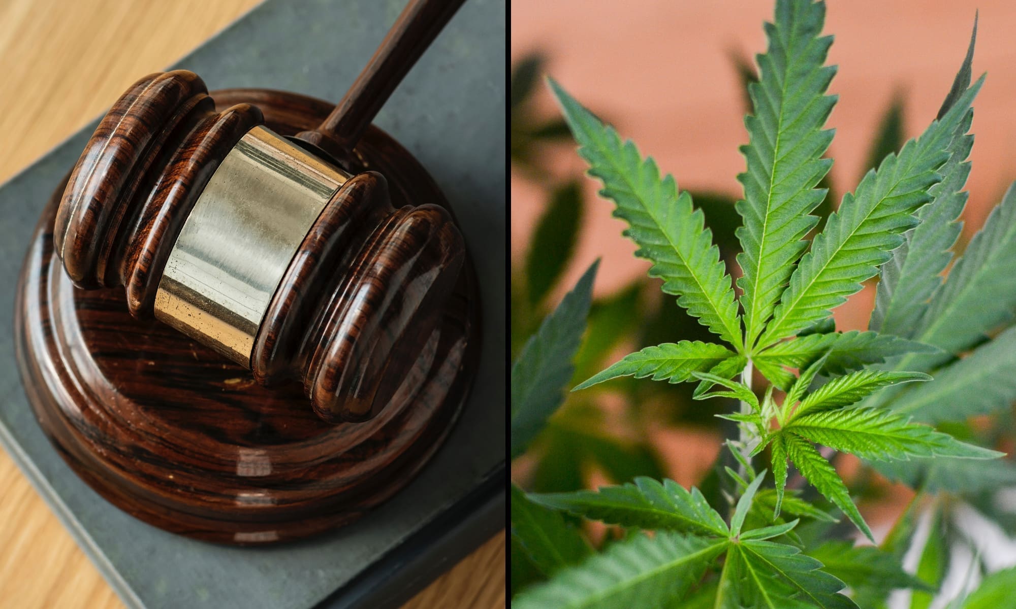 Ohio Judge Blocks Governor’s Hemp Product Ban From Taking Effect