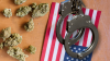 cannabis arrests