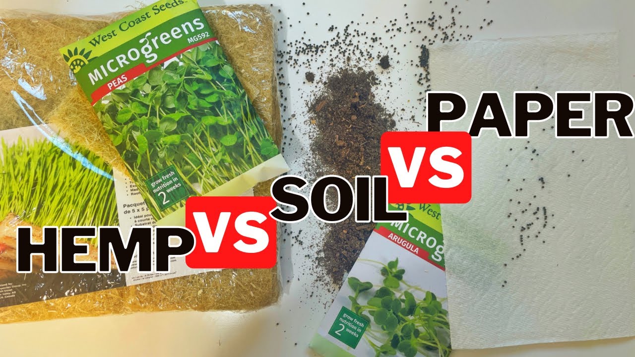 Are Hemp Pads For Microgreens Worth It?