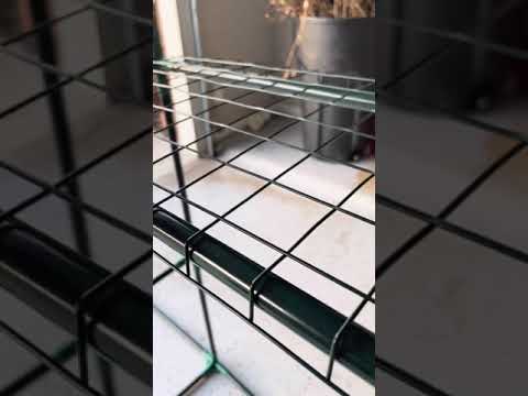 Temporary greenhouses - do they work?