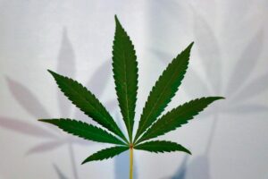 Pennsylvania Senators Will Vote On Bipartisan Cannabis Bill To Create New Regulatory Body Next Week