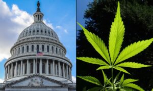 Senators Disagree On Whether Trump Rescheduling Marijuana Would Get Industry Banking Bill Across The Finish Line