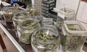 Michigan Senators Weigh Marijuana Regulatory Reform Bills To Aid Industry Reeling From New Tax Increase