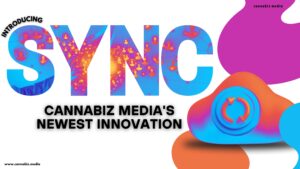 Introducing Cannabiz Media's Newest Innovation—Sync