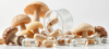 Mushroom Medicine Is the Future—And It’s Growing in My Kitchen