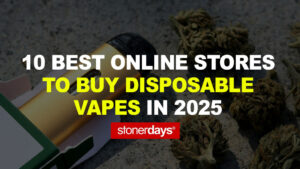 10 Best Online Stores to Buy Disposable Vapes in 2025