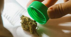 Cannabis Crackdown Could Put Patients At Risk