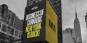 Why You Should Attend Business of Cannabis: New York