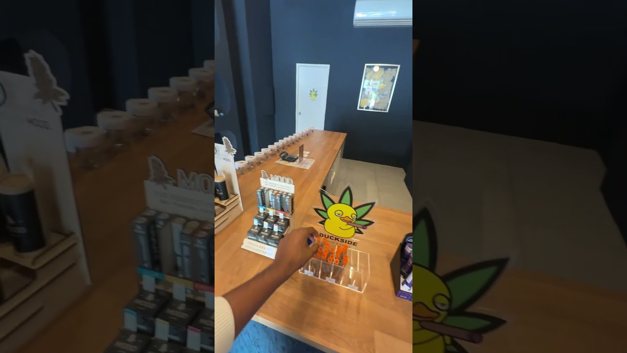 Kanjavu in thailand ganja / canabis in thailand