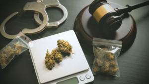 Urgent Action Needed To End US Marijuana Arrests