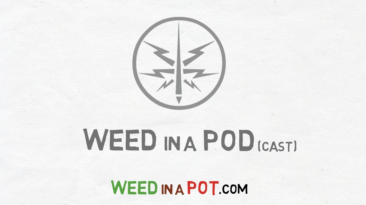 Channel Update & Mars Hydro SP 250  Grow Light Unboxing