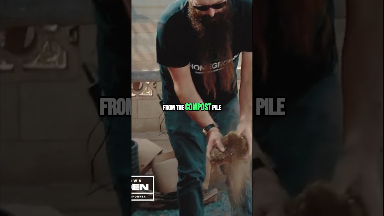 Do you reuse your soil?