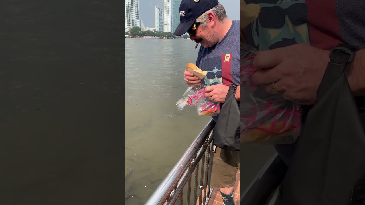Feeding the fish at the Laying Down Buddha in  Bangkok waiting for tonight’s venue on a boat.