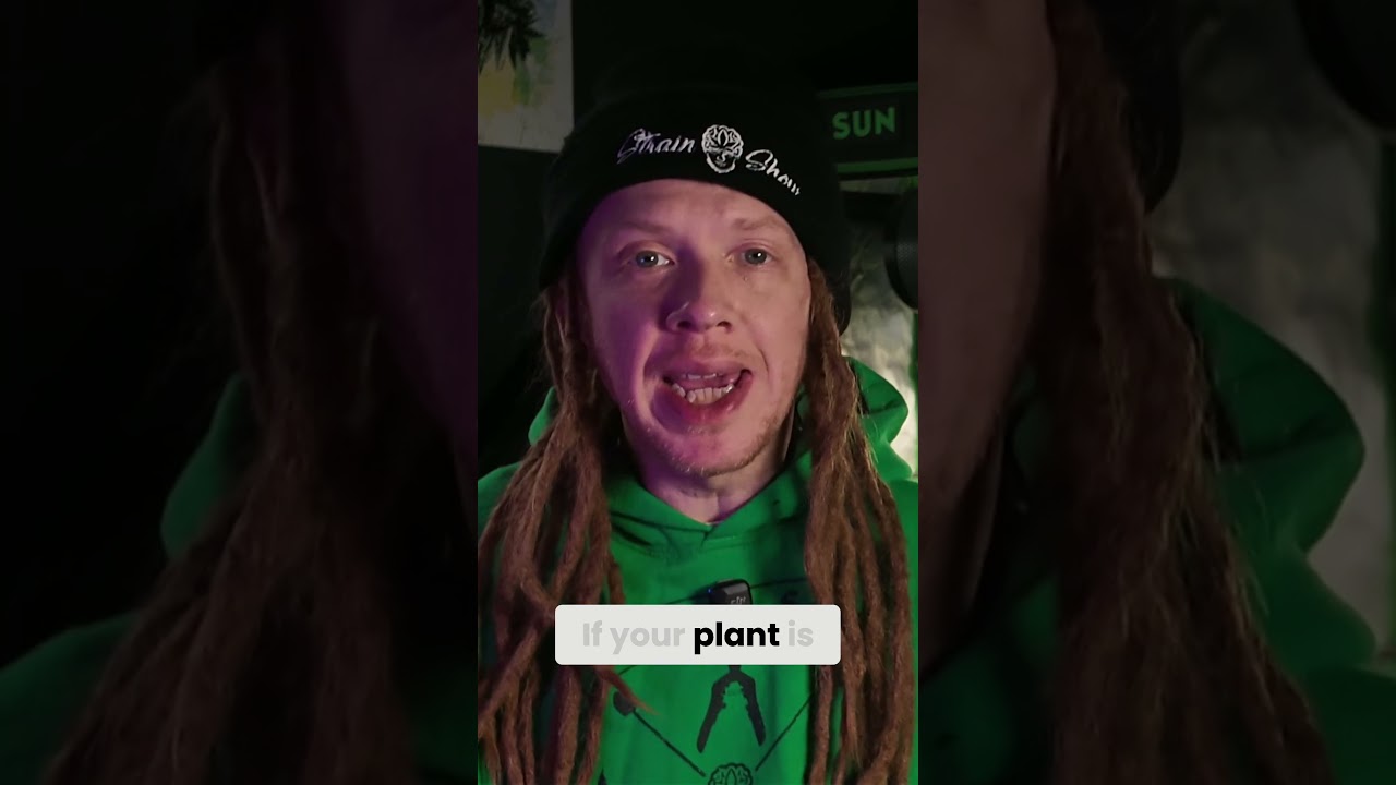 Do Terp Boosters Really Work