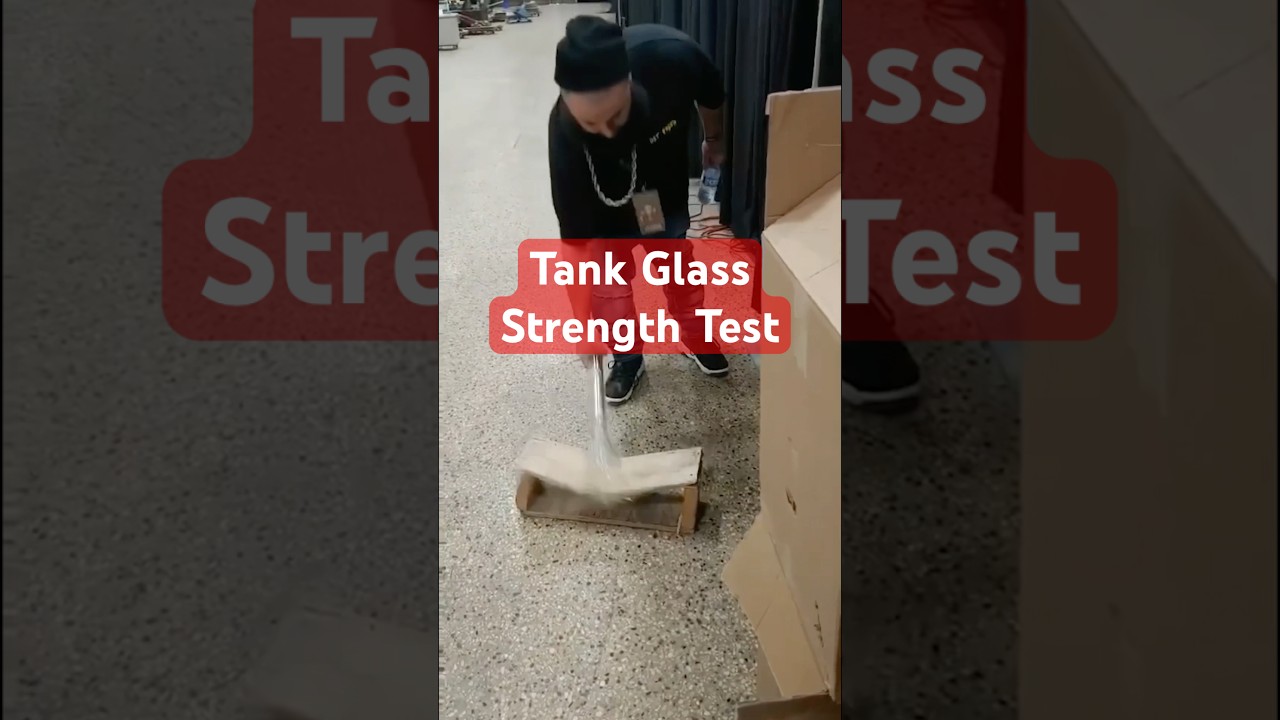 just a casual friday at tank glass