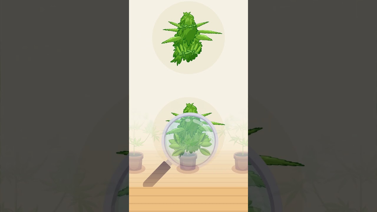 Hermie Alert: Protect Your Cannabis Crop from Unwanted Pollination