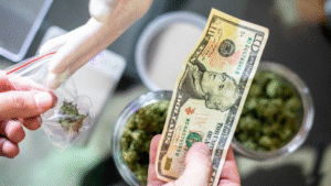 New Hampshire Lawmakers Announce Plans For Marijuana, Psychedelics And Hemp Bills For 2026 Session