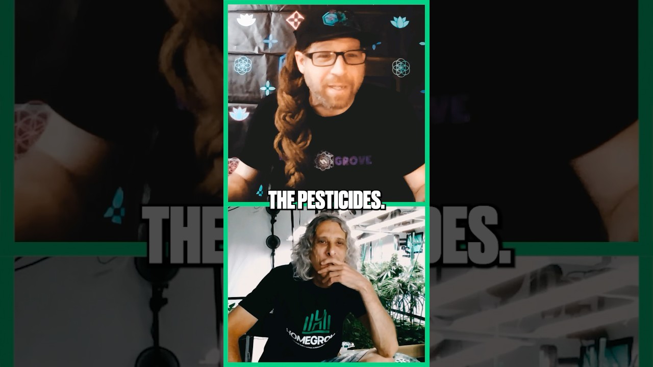 If you’re going to call it “medicine” it should actually be good for you!