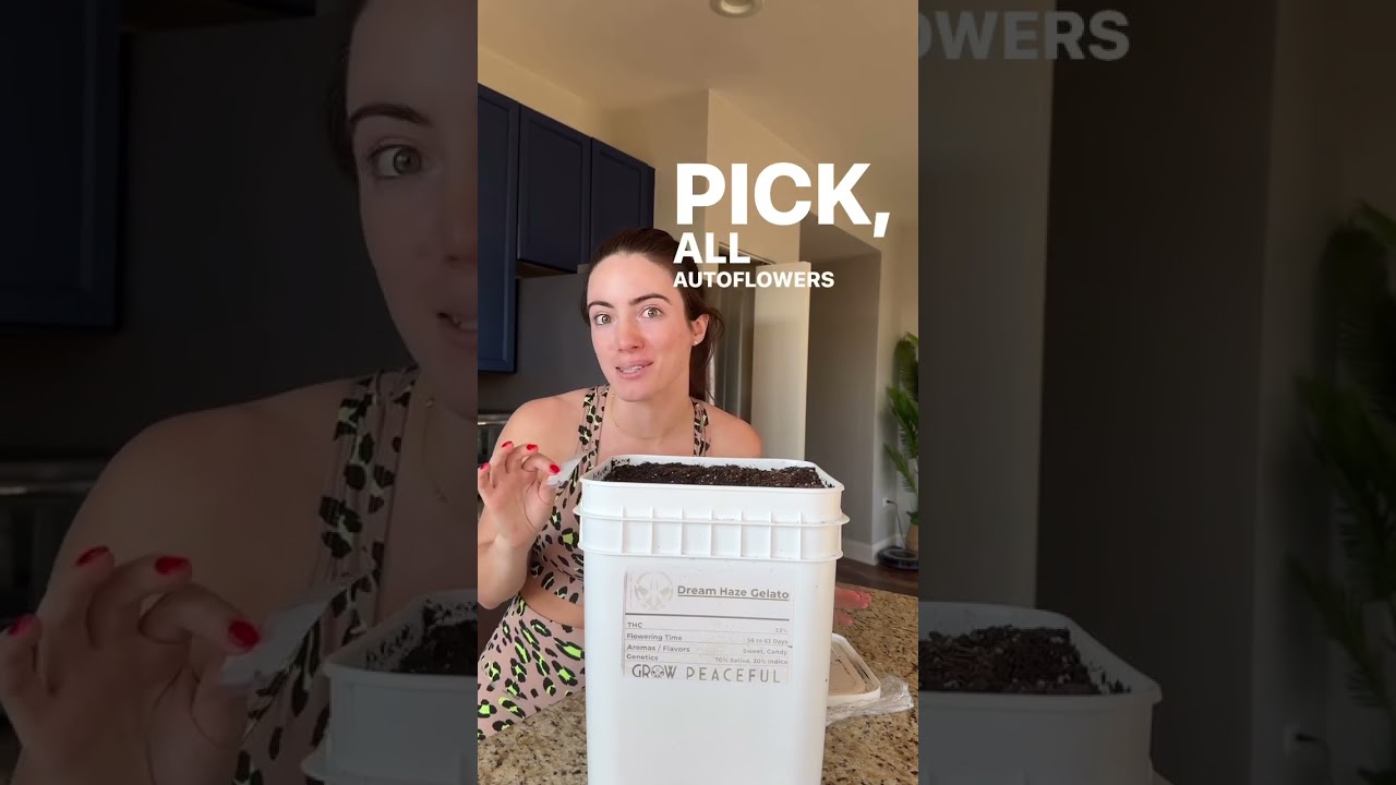 The no nutrients needed grow bucket I’ve been fantasizing about is 🤯REAL🤯 and 10% off with my code G