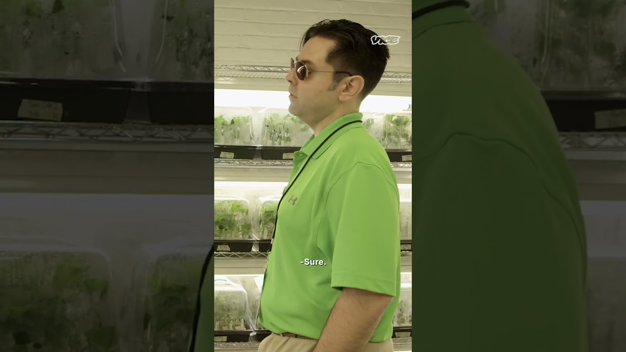 “I’m Just Going to Smoke a Little Bit of the Death Star” #shorts