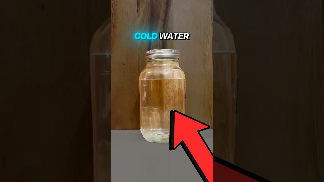 Does Water Temperature Affect Nutrient Solubility? 🌡️