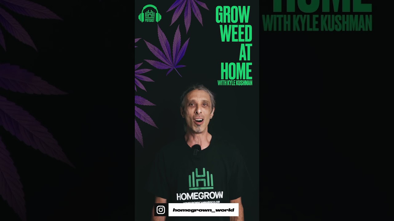 GROW WEED AT HOME WITH KYLE KUSHMAN - PODCAST COMING SOON!