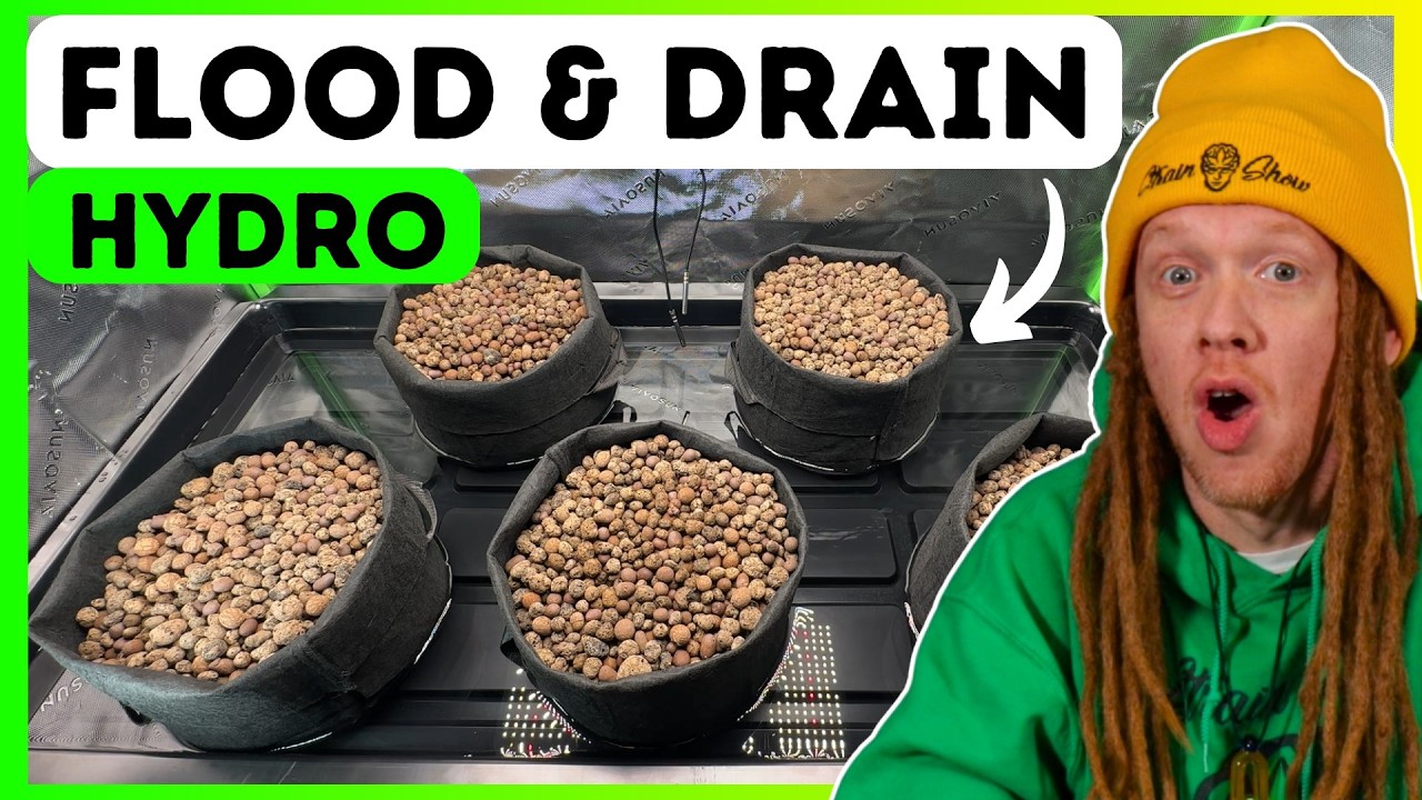 Easy Ebb and Flow Hydroponics in a 2x4 Tent