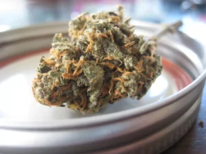 ACCM Launches National Partnerships to Expand Medical Cannabis Access and Insurance Coverage