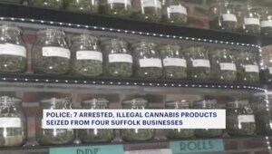 7 arrested in raids at multiple cannabis businesses in Suffolk