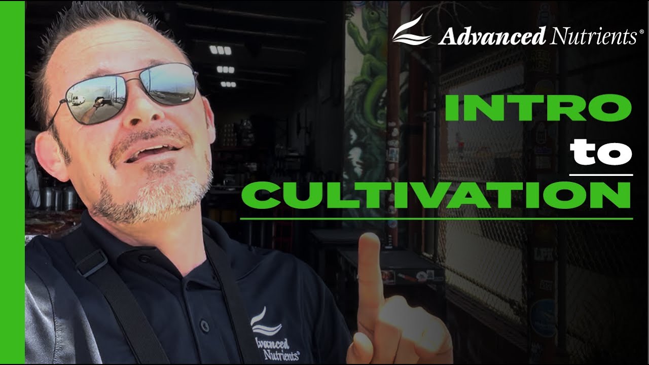 Grower POV: Intro to Cultivation