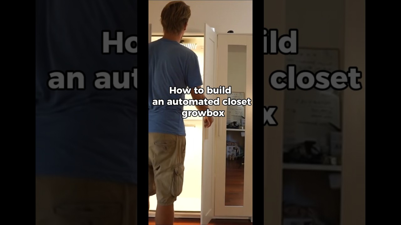 How to buid an automated closet #growbox 🔥🔥🔥
