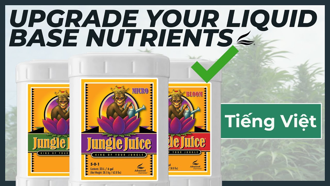 Upgrade Your Liquid Base Nutrients - (Vietnamese Language)