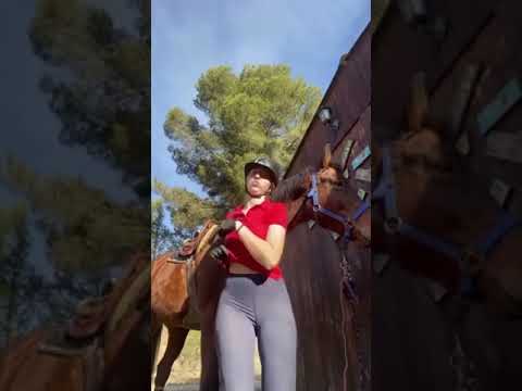 Tiktok Big Bank Challenge #36 Short