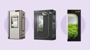 Leafly’s top 5 grow tents of 2025