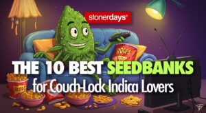The 10 Best Seedbanks for Couch-Lock Indica Lovers