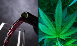 Access To Legal Marijuana Shops Is Linked To Reduced Heavy Alcohol Drinking, Federally Funded Study Finds